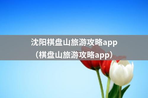 沈阳棋盘山旅游攻略app（棋盘山旅游攻略app）